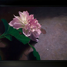 Nancy Depew
