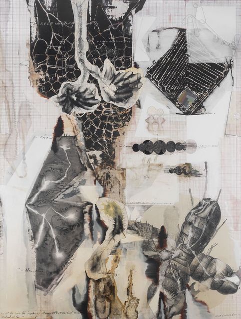 Jitish Kallat, ‘Palindrome/Anagram Painting’, 2017-2018, Painting, Acrylic, gesso, lacquer, charcoal, and aquarelle pencil on linen, Templon