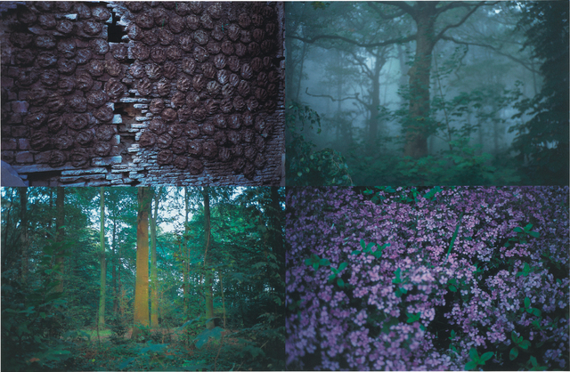 Gabriel Orozco, ‘Follaje (Foliage)’, 1997, Phillips