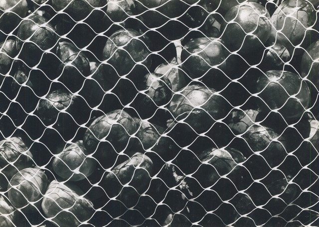 Ron Stark, ‘Still Life with Grape Bag’, 1972, Washington Color