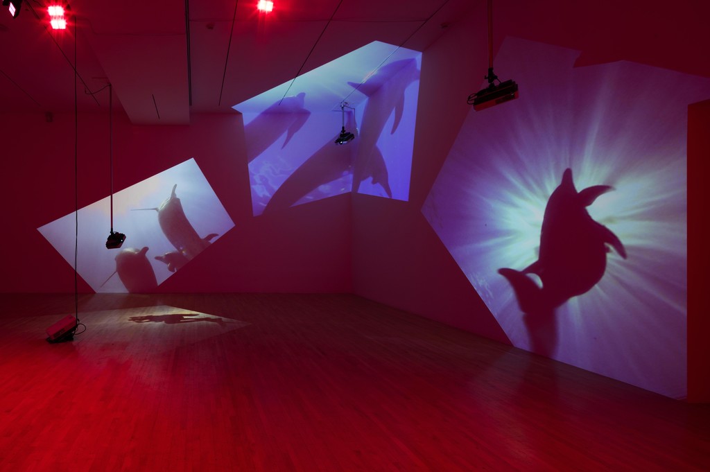 Installation photograph, "Diana Theater: The Sympathetic Imagination," Los Angeles County Museum of Art, November 22, 2015 - February 21, 2016. Courtesy of Diana Thater. Photo: Fredrik Nilsen. Installation photograph, "Diana Theater: The Sympathetic Imagination," Los Angeles County Museum of Art, November 22, 2015 - February 21, 2016. Courtesy of Diana Thater. Photo: Fredrik Nilsen.