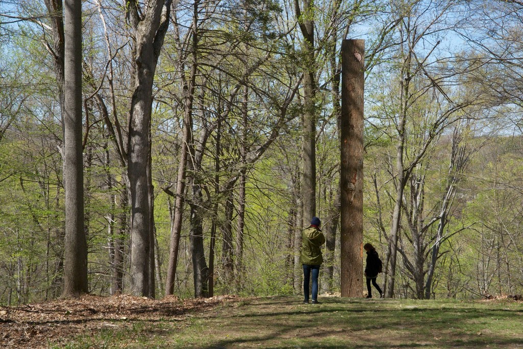 Josephine Halvorson, Measure, 2016. Courtesy the artist and Sikkema Jenkins & Co., New York. Photograph by Jerry L. Thompson. Josephine Halvorson, Measure, 2016. Courtesy the artist and Sikkema Jenkins & Co., New York. Photograph by Jerry L. Thompson.