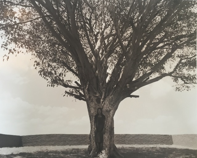Shirin Neshat From the “Tooba” Series (2002) Artsy