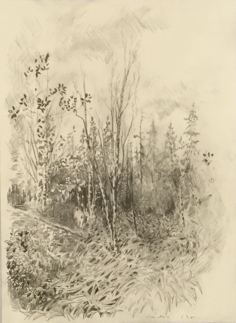 Frédéric Clot, ‘Le Printemps, 2015’, 2015, Ditesheim & Maffei Fine Art