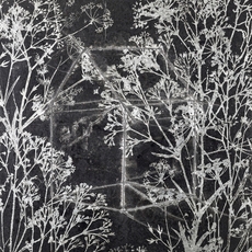 Chih-Cheng Huang 黃至正
