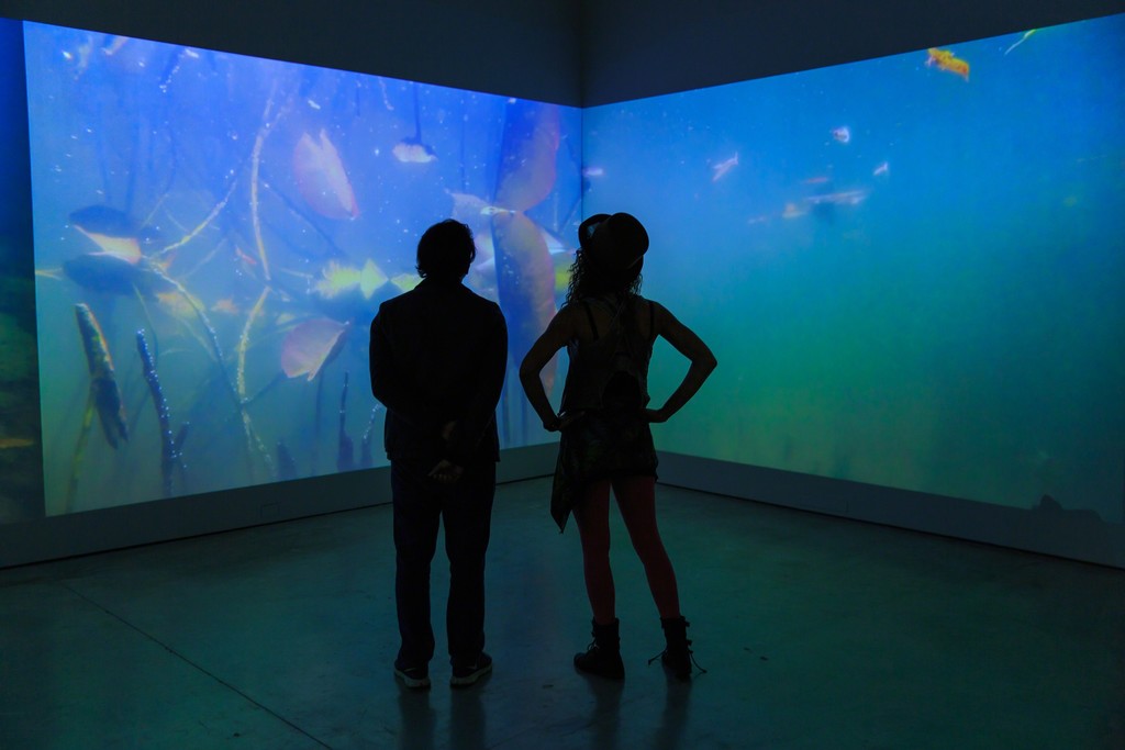 Installation view of Mark Fox, Giverny: Journal of an Unseen Garden (2010-2015) at Norton Museum of Art. Five channel video installation, edition 1 of 6. Photography by Tom Tracy. Installation view of Mark Fox, Giverny: Journal of an Unseen Garden (2010-2015) at Norton Museum of Art. Five channel video installation, edition 1 of 6. Photography by Tom Tracy.