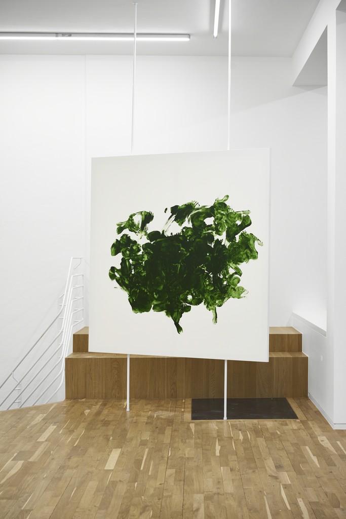 Pauline Beaudemont. Macchia Aperta, 2017, Installation view Pauline Beaudemont. Macchia Aperta, 2017, Installation view