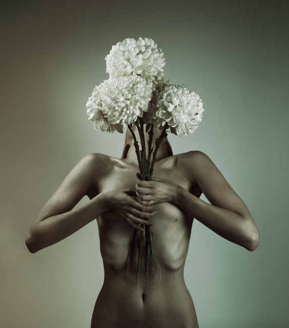 Flóra Borsi, ‘Armour’, 2014, Photography, Giclee Print on Hahnemühle Paper - Hahnemühle Kağıda Giclee Baskı, Anna Laudel