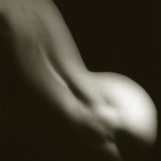Robert Farber