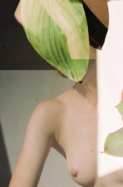 Annelie Bruijn, ‘Slowly’, 2019, ElliottHalls