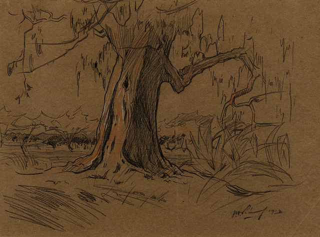 Jacob Hendrik Pierneef, ‘Large Tree in a Landscape’, 1913, Drawing, Collage or other Work on Paper, Charcoal on paper, Strauss & Co