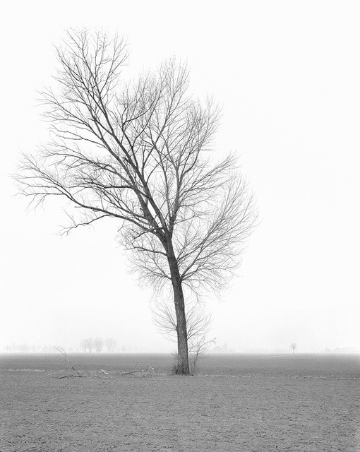 Paola De Pietri, ‘Untitled 015, Questa Pianura series’, 2015, Galerie Les filles du calvaire