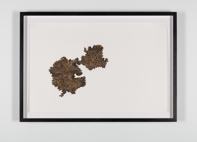Santiago Reyes Villaveces, ‘Fever Guainia (Inrida) ’, 2019, Drawing, Collage or other Work on Paper, Graphite, 24k gold, and gold leaf on paper., Emerson Dorsch