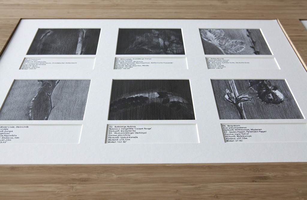 Marianna Christofides (Detail of ) Rhinepark I, 2009 | 12 graphite drawings mounted, 3 map drawings, custom-made bamboo display table,
museum's glass 75x150x60cm (display table), 80x110cm (each map drawing), 40x60cm (each passe-partout) Marianna Christofides (Detail of ) Rhinepark I, 2009 | 12 graphite drawings mounted, 3 map drawings, custom-made bamboo display table,
museum's glass 75x150x60cm (display table), 80x110cm (each map drawing), 40x60cm (each passe-partout)
