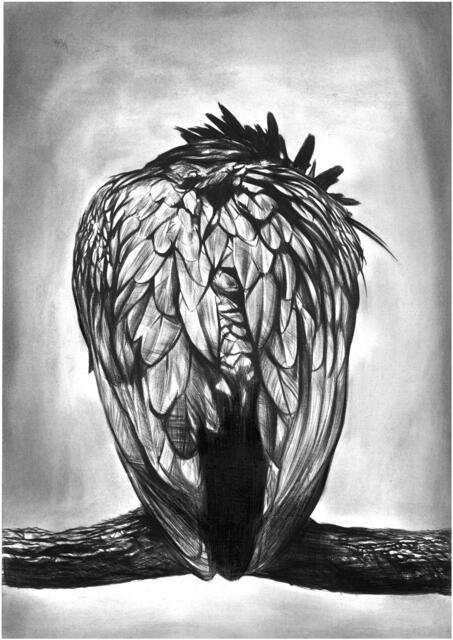 The Cage, One Series