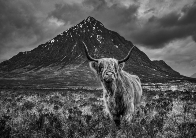 David Yarrow, ‘Glencoe’, 2019, Photography, Archival Pigment Print, Hilton Asmus
