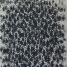 Soichiro Tomioka