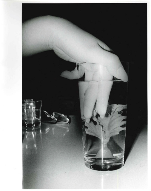 Daido Moriyama, ‘Artificial Underwater Flower’, 1990, CHRISTOPHE GUYE GALERIE