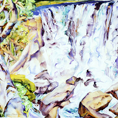 Patricia Tobacco Forrester