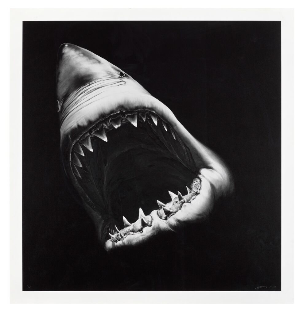 Robert Longo - Untitled (Shark)