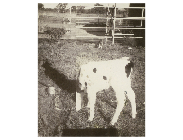 Odette England, ‘Photos Of Me Without Me, #3’, 2011, KLOMPCHING GALLERY