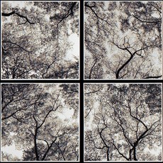 Etherton Gallery at The Photography Show 2016, presented by AIPAD