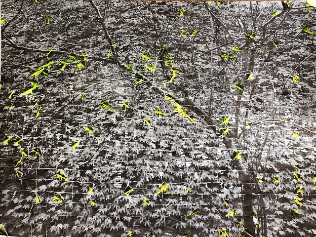 Ardan Özmenoğlu, ‘post-it leaves’, 2019, Painting, Mixed Media artwork done by using post-it notes, silk screen, and painting, FREMIN GALLERY