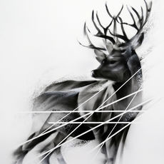 Aaron Li-Hill