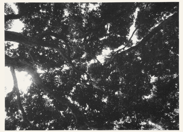 José Pedro Croft, ‘Sem Título’, 2014, Mul.ti.plo Espaço Arte