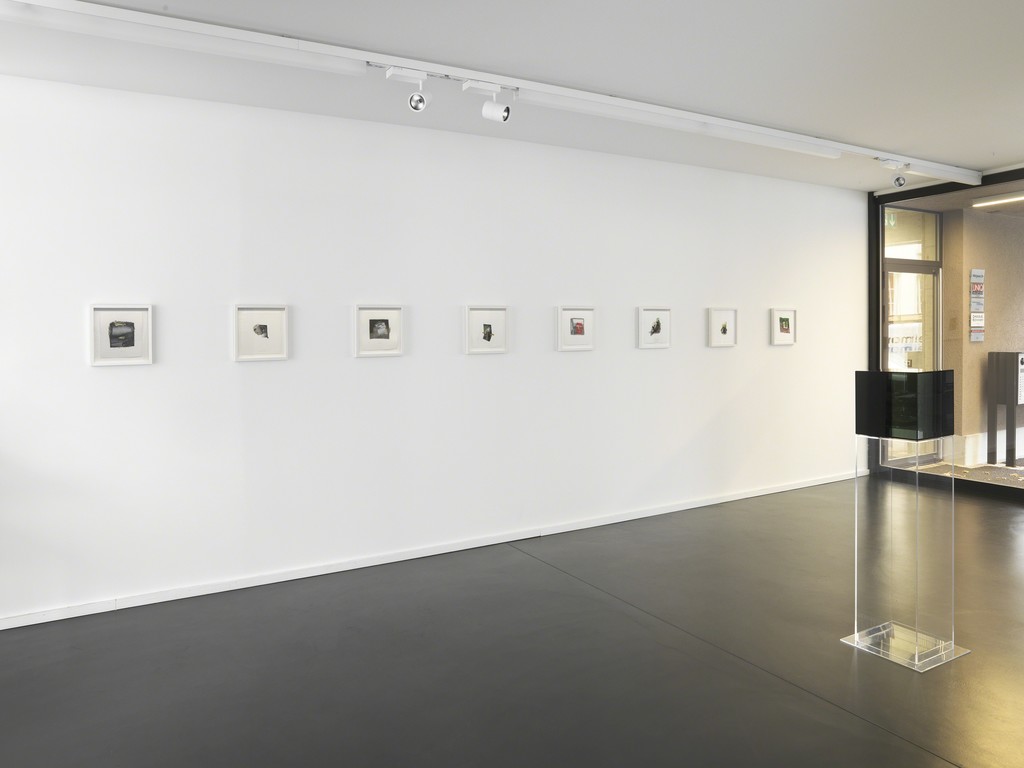 Installation View 5: Larry Bell 12 in. Cube #1, 2008; Fraction 1227, 1996; Fraction 6674, 2000; Fraction 1162, 1996; Fraction 6438, 2000; Fraction 1297, 1996; Fraction 5038, 1999; Fraction 7368, 2000; Fraction 1070, 1996 (Photocredit Serge Hasenböhler, Basel) Installation View 5: Larry Bell 12 in. Cube #1, 2008; Fraction 1227, 1996; Fraction 6674, 2000; Fraction 1162, 1996; Fraction 6438, 2000; Fraction 1297, 1996; Fraction 5038, 1999; Fraction 7368, 2000; Fraction 1070, 1996 (Photocredit Serge Hasenböhler, Basel)