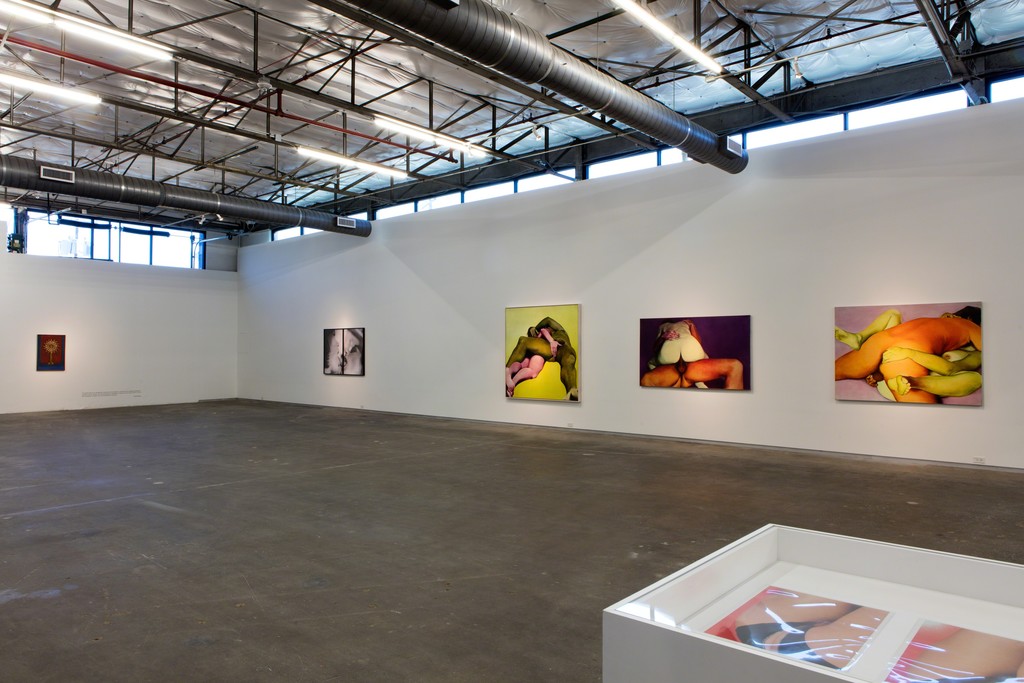 Black Sheep Feminism. Installation view, Dallas Contemporary, 2016. Photo: Kevin Todora Black Sheep Feminism. Installation view, Dallas Contemporary, 2016. Photo: Kevin Todora