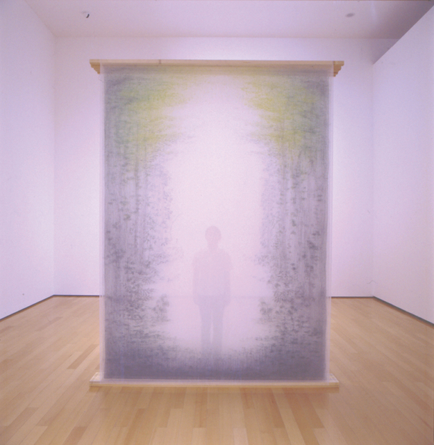 Asami Yoshiga, ‘The Other Side’, 2005, Mixed Media, Mineral pigment and ink on layered tetron fabric, Dillon + Lee