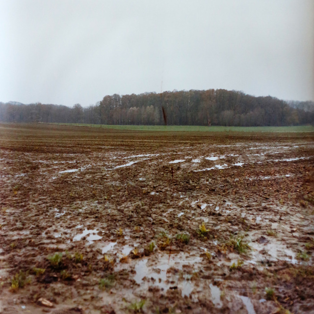 Dianne Bos, ‘Frezenberg Ridge, Flanders Fields France’, 2014, Newzones