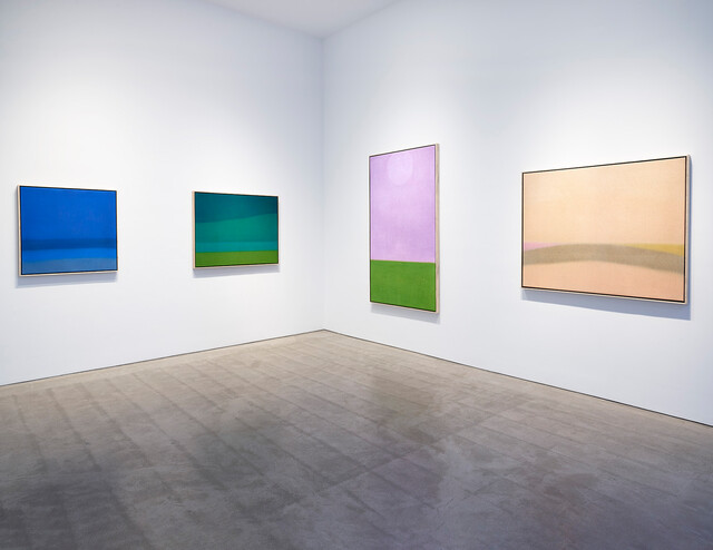 In Focus: Susan Vecsey
