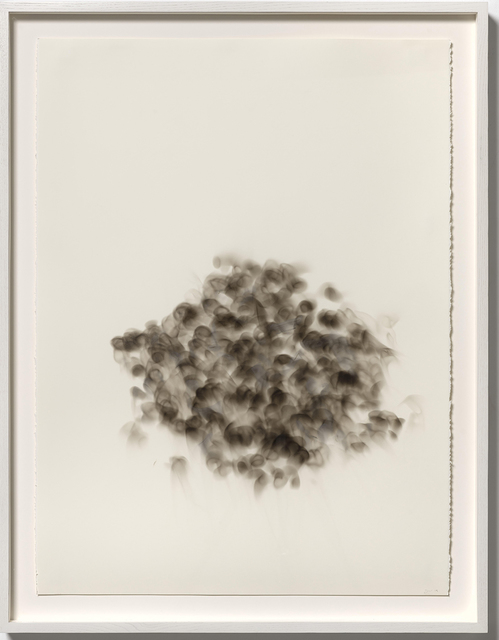 Joan Wulf, ‘Shadow 2’, 2019, Painting, Carbon soot on paper, Themes+Projects