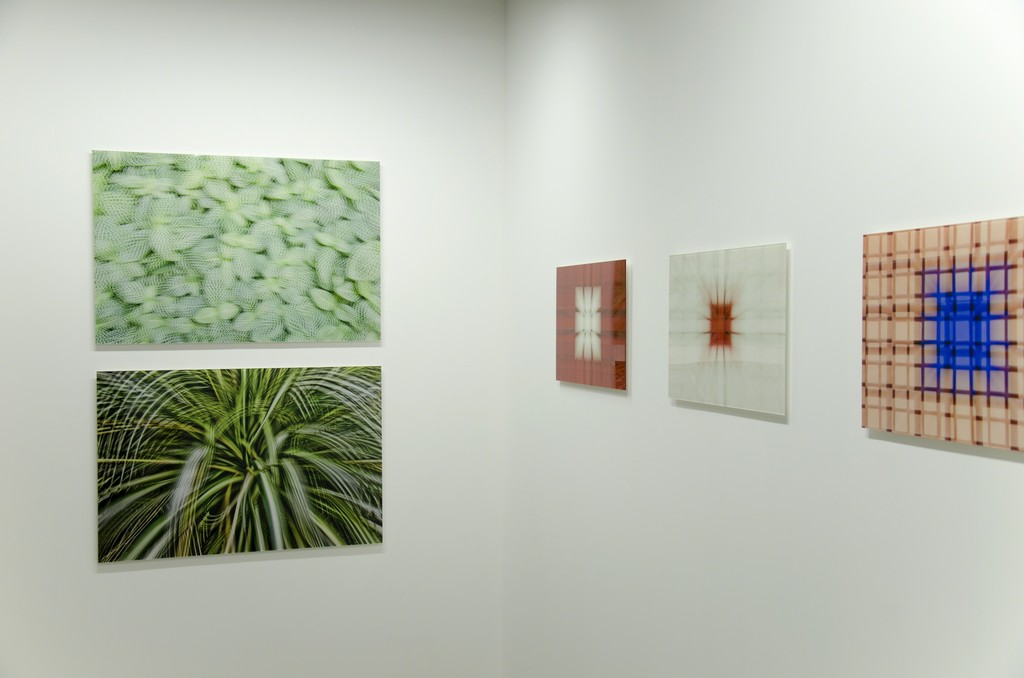 Atsushi Okabe "Artificial View_botanical" series, 2014 Atsushi Okabe "Artificial View_botanical" series, 2014