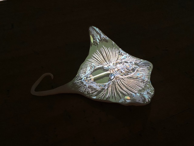 Johannes Helden Stingray Available For Sale Artsy