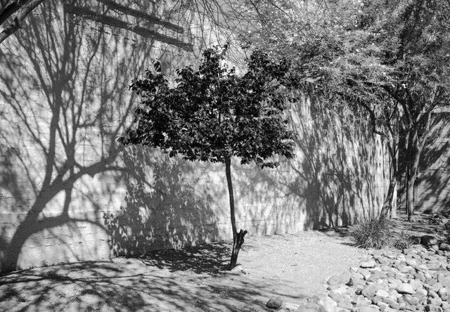 Joseph Podlesnik, ‘Photo Taken With Fever’, 2017, William Matthews Studio