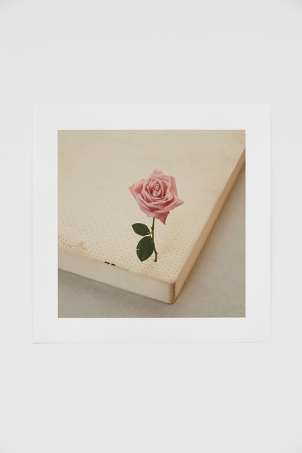 casper sejersen, ‘One Perfect Rose’, 2019, Print, Giclée print on Hahnemuhle Photo Rag, Cob