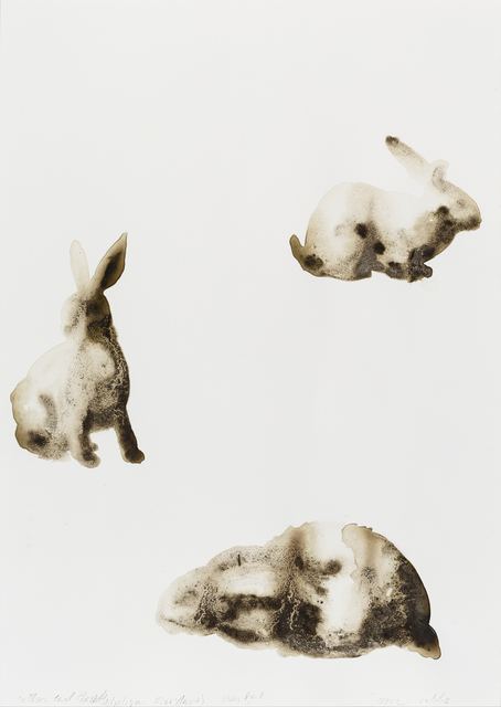 Alexis Rockman, ‘Cottontail Rabbit (Sylvilagus floridanus)’, 2014, Parrish Art Museum