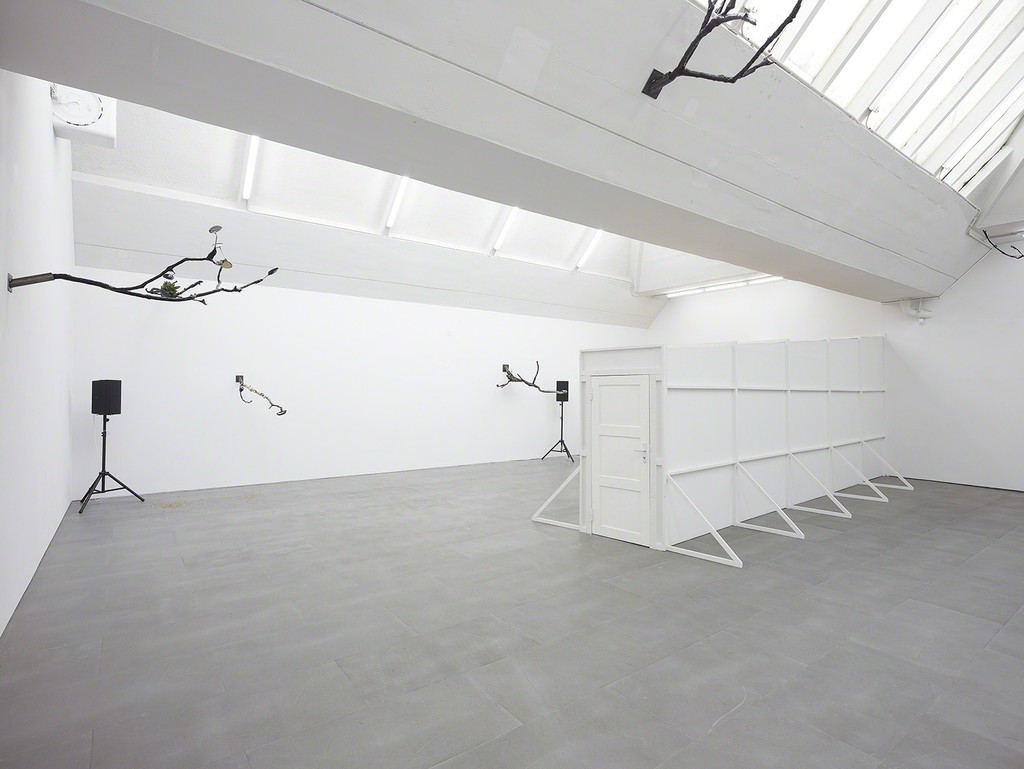 Laure Prouvost | Exhibition view at carlier | gebauer 2015 Laure Prouvost | Exhibition view at carlier | gebauer 2015