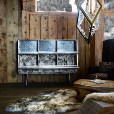 Birch Bark