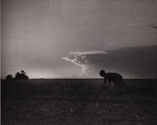Kertész André Kertész 写真集 André Kertész The Early Photographs of André Kertész