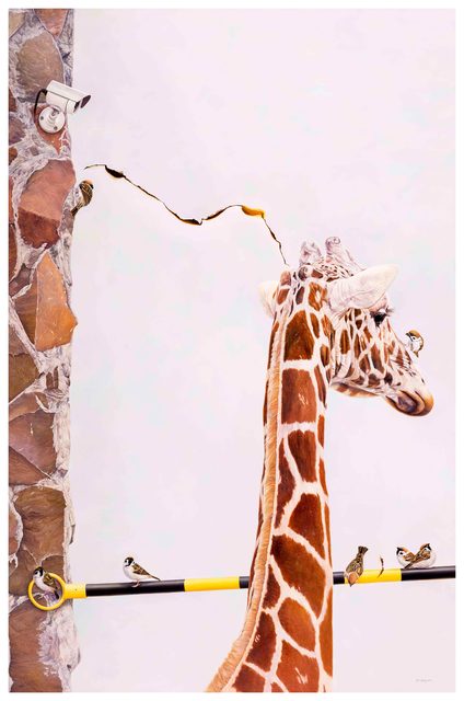 Huang Yi-Sheng, ‘Exceptional Relationships’, 2015, Liang Gallery