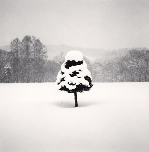 Michael Kenna, ‘Snow Parfait Tree, Wakoto, Hokkaido, Japan’, 2004, Photography, Toned gelatin silver print, PDNB Gallery