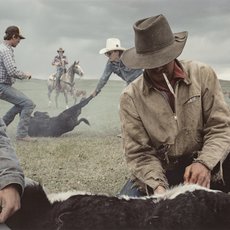 Sam Abell