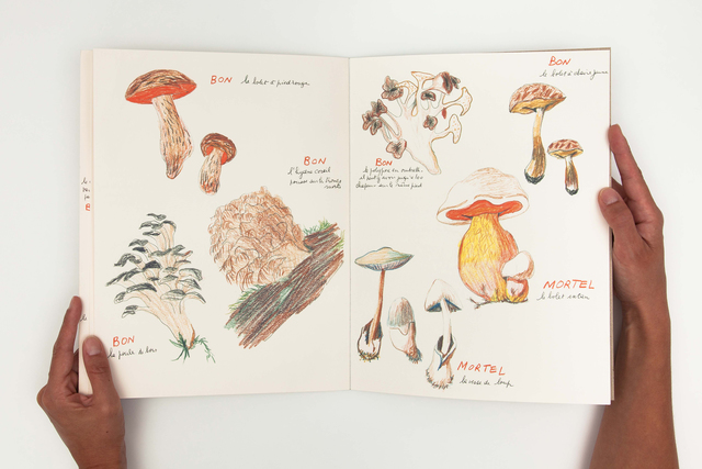 Annette Messager, ‘Ma collection de champignons bons et champignons mortels ’, 1973-2011, mfc - michèle didier