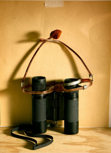 Laurie Rubin, ‘Sidney Baum Glasses’, Chicago Art Source