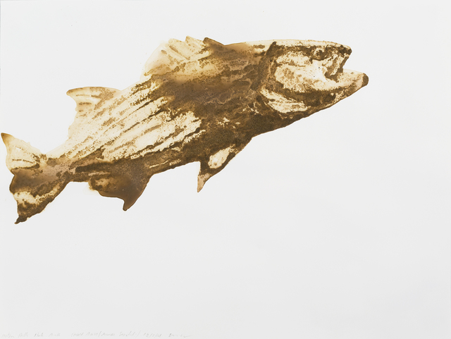 Alexis Rockman, ‘Striped Bass (Morone saxatilis)’, 2014, Parrish Art Museum
