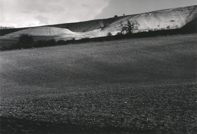 Fay Godwin, ‘White Horse and Dragon Hill, Uffington’, 1974; printed 1980, San Francisco Museum of Modern Art (SFMOMA)